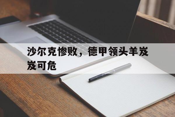 万博-沙尔克04降级德乙
